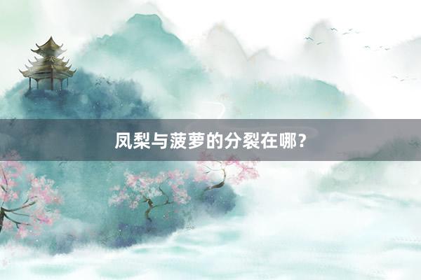 凤梨与菠萝的分裂在哪？