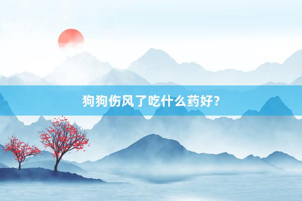 狗狗伤风了吃什么药好？