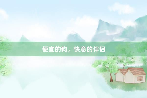 便宜的狗，快意的伴侣